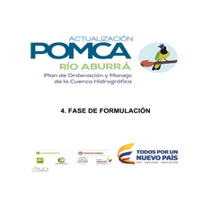 Formulación 