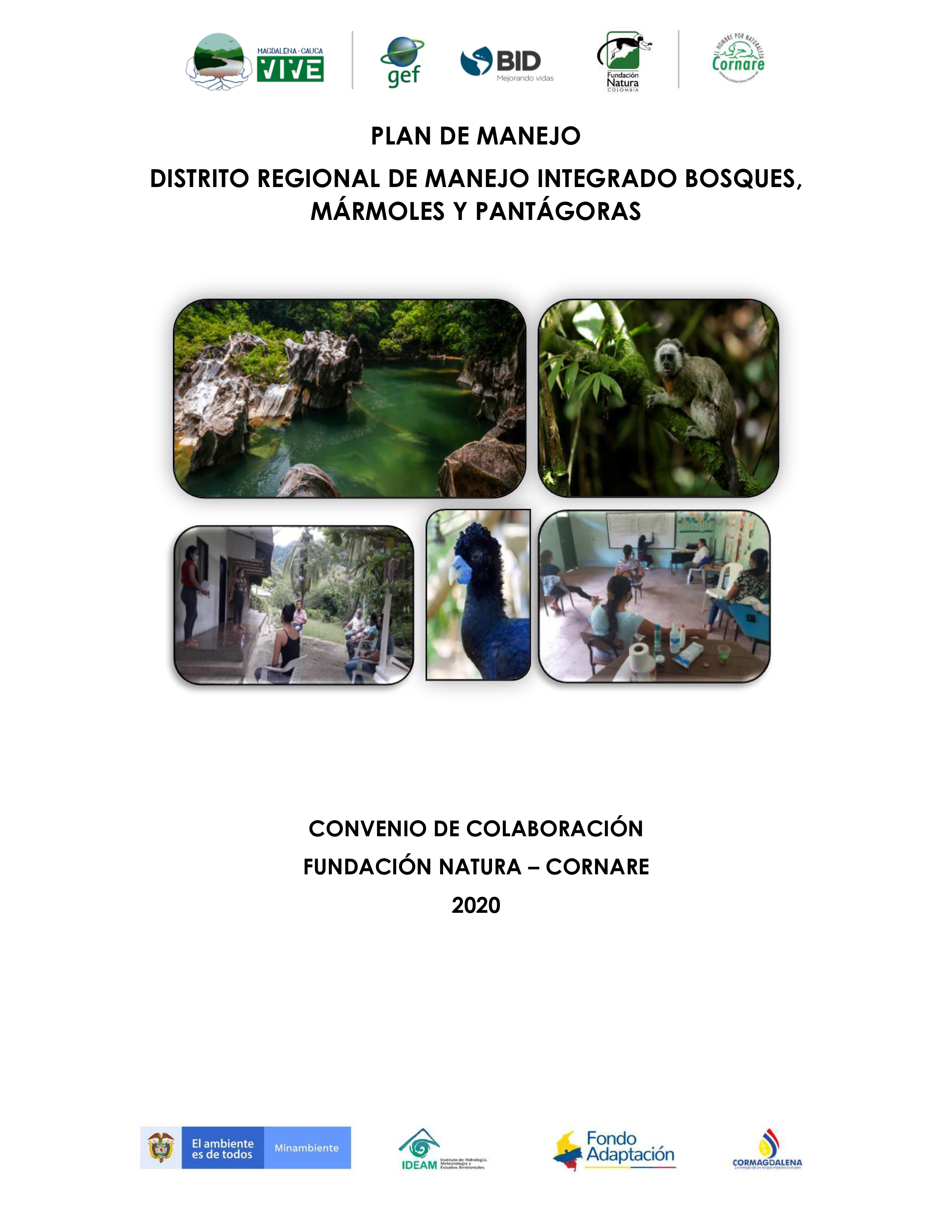 Plan-de-Manejo-Ambiental-DRMI-Bosques_Marmoles_Pantagoras_Vigencia_2021-2026